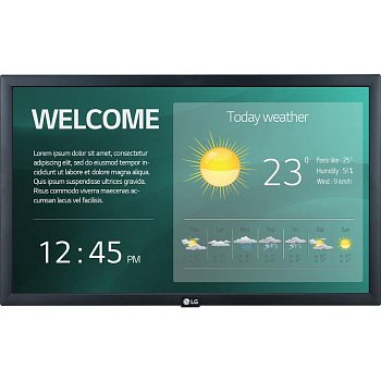 22SM3G monitor LG