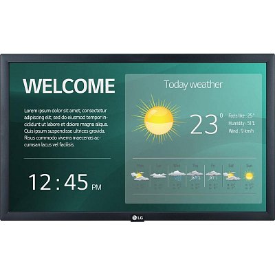 22SM3G monitor LG