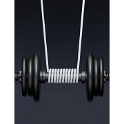 71541012 USB A /Lightning 1,5M SWISSTEN