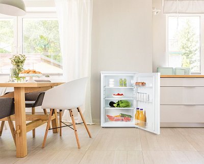 Lednice bez mrazáku - bílá - DOMO DO91138