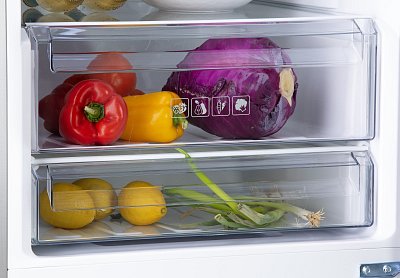 Lednice kombinovaná s mrazákem dole - stříbrná - DOMO DO91337C