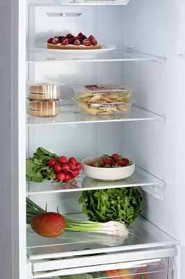 Lednice kombinovaná s mrazákem dole - DOMO DO91336C