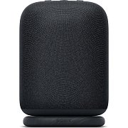 LinkBuds Speaker černá SONY