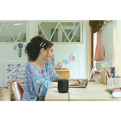 LinkBuds Speaker černá SONY