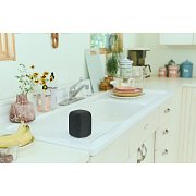 LinkBuds Speaker černá SONY