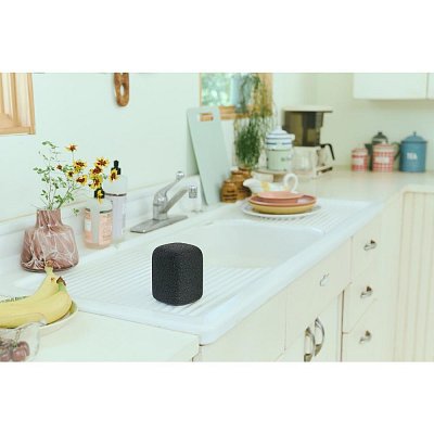 LinkBuds Speaker černá SONY