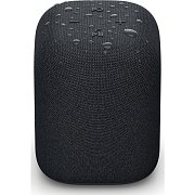 LinkBuds Speaker černá SONY