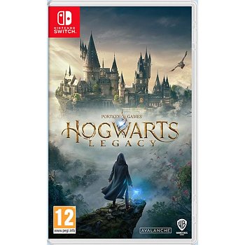 NS Hogwarts Legacy WARNER BROS
