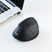 OFFICE M40 Vertical NICEBOY