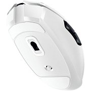 Orochi V2 wrl white Ed. RAZER