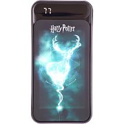 PB 10000mAh Harry Potter LAZERBUILT