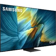 QE83S95F OLED TV SAMSUNG