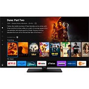 TB 65W60AEZ LED TV PANASONIC