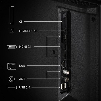 TV 55W85BEZ QLED TV PANASONIC