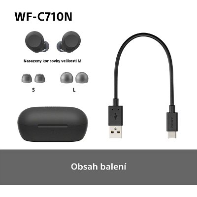 WF C710N černá SONY