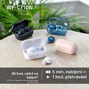 WF C710N černá SONY