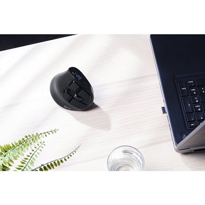 23731 Voxx Vertical Wireless Mouse TRUST