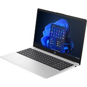 250 G10 15,6 i5 8/512GB W11H SL IRIS HP
