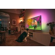 43PUS8818 UltraHD LED GOOGLE TV PHILIPS