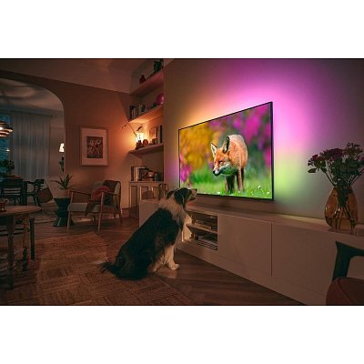 43PUS8818 UltraHD LED GOOGLE TV PHILIPS