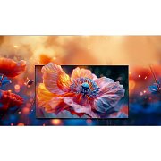 50E79Q QLED TV HISENSE