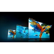 50U7Q Mini LED QLED TV HISENSE