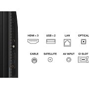 55C69B QLED TV Direct LED TCL