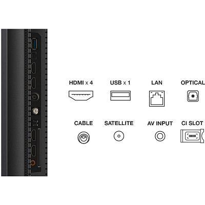 55C765 QLED MINI-LED TV TCL