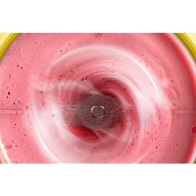 BL1C0230 SMOOTHIE TEFAL