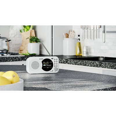 DR-P320(WH) FM/DAB radiopríjmač SHARP
