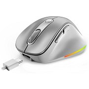 Ergo 9000S Pro Wrl mouse Silver GENIUS