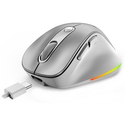 Ergo 9000S Pro Wrl mouse Silver GENIUS