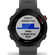 Forerunner 55 GPS EU Monterra GR GARMIN
