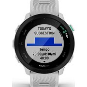 Forerunner 55 GPS EU Whitestone GARMIN