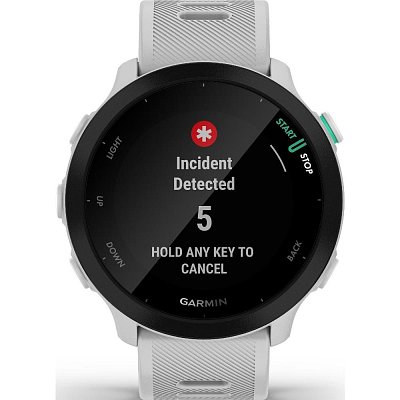 Forerunner 55 GPS EU Whitestone GARMIN