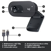 HD Webcam C505 LOGITECH