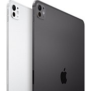 IPad Pro 11 WiFi 256GB StGl Black APPLE