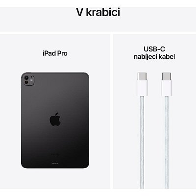 IPad Pro 11 WiFi 256GB StGl Black APPLE