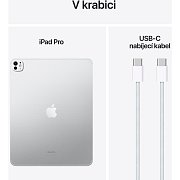 IPad Pro 13 WiFi 256GB StGl Silver APPLE