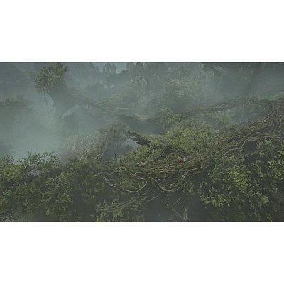Monster Hunter Wilds PS5 CAPCOM