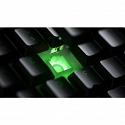 ORNATA V2 US herní klávesnice RAZER