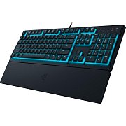 Ornata V3 X keyboard US RAZER