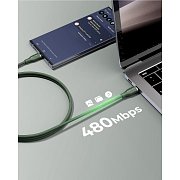 Powerlink Rugg CTC 5A/100W 1,8m green