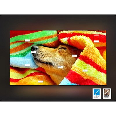 QE55S95F OLED TV SAMSUNG
