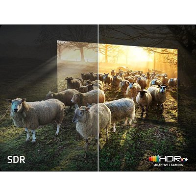 QE65QN990F Neo QLED TV SAMSUNG