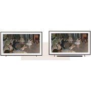 QE75LS03FW The Frame PRO QLED TV SAMSUNG