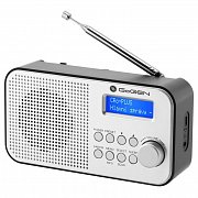 Radiopřijímač DAB+ GoGEN DAB 300 N, stříbrný