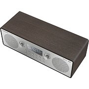 RF D100BTEGT rádio PANASONIC