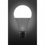 RLL 463 A67 E27 bulb 20W CW RETLUX