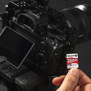 SDXC SDR2/256GB UHS-II V90 KINGSTON